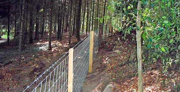 Clôture piquet acacia grillage a mouton plus un barbele