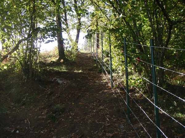 Piquet tube plus sept rang de barbele